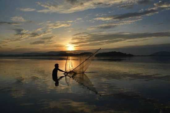 Prohibited nets catch even the smallest fish, so fish are being genocide.