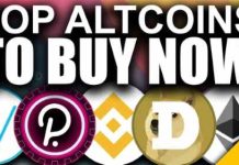 Top Altcoins to Buy In 2023 (Before It’s Too LATE) Top Altcoins to Buy In 2023, Are we in a Bull or Bear Market Crypto, Avalanche crypto, Celsius Network, Does HEX Coin have a future