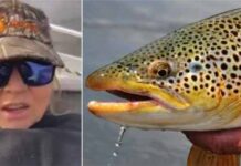 What is the Viral Trout for Clout Video? Trout Lady Video What is the Viral Trout for Clout Video? Trout Lady Video