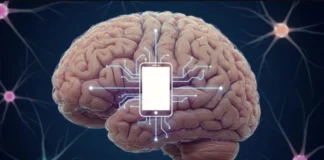 How Your Brain Changes After 3 Days Without a Phone Brain Changes Without a Phone