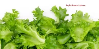Taylor Farms Lettuce at Taco Bell Linked to Cyclosporiasis Outbreak: What the CDC Found and What Consumers Should Know Taylor Farms Lettuce